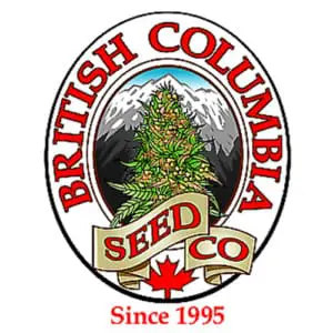 british-columbia-seeds - Real Gorilla Seeds