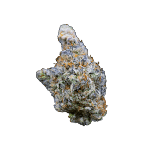 Mimosa Gusher Limited Edition