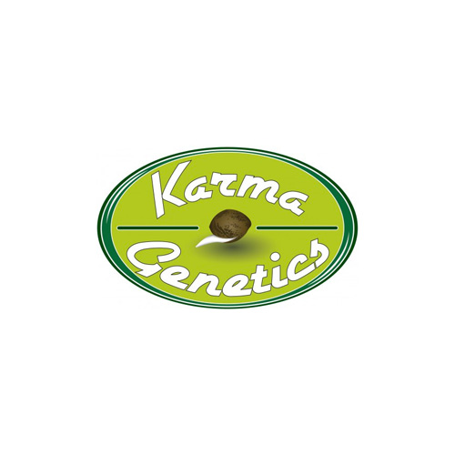 Karma Genetics