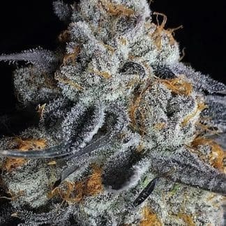 Crystal Gelato