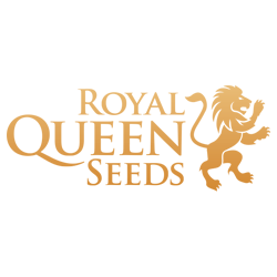 Royal Queen Seeds